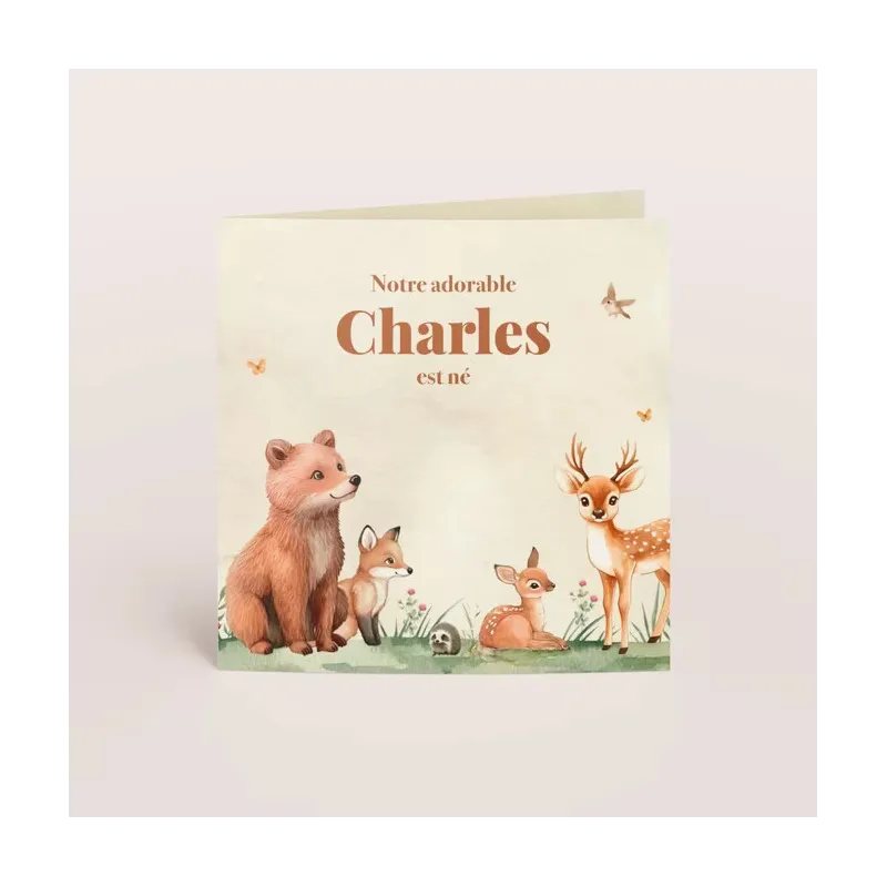 Faire-part de naissance Ourson et compagnie