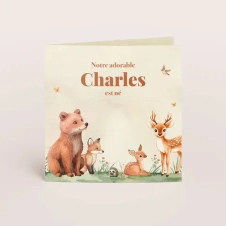 Faire-part de naissance Ourson et compagnie