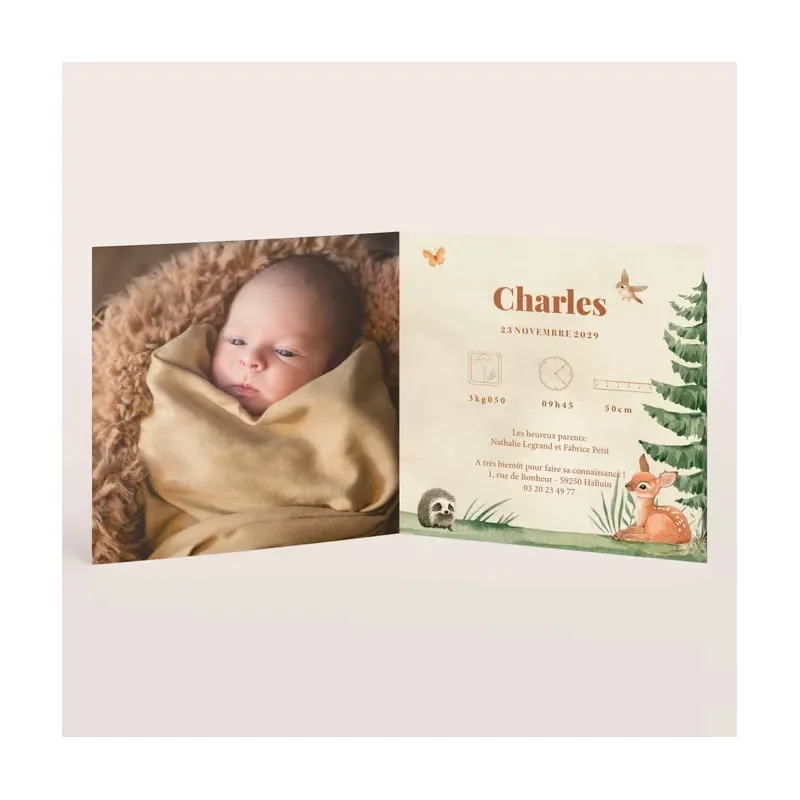 Faire-part de naissance Ourson et compagnie