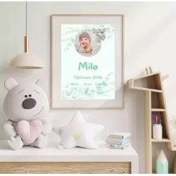 Affiche naissance Koala