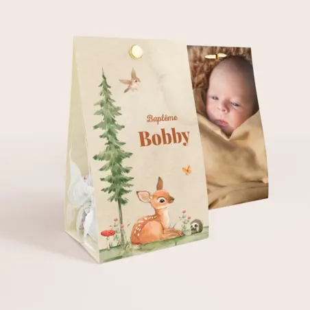 Etui à dragées baptême Ourson et compagnie